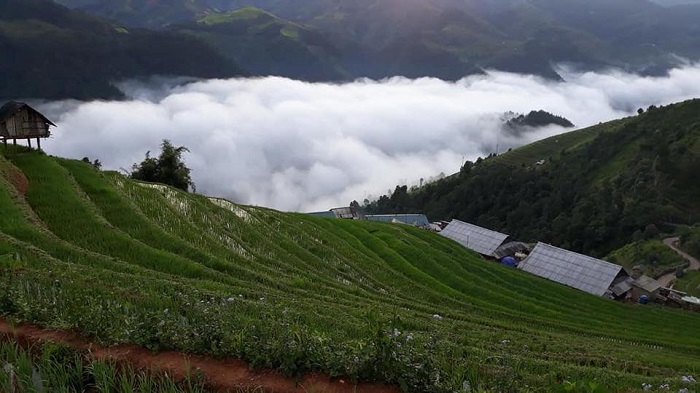 Đèo Khau Phạ - địa điểm săn mây cực đỉnh nhất định phải ghé thăm